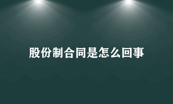 股份制合同是怎么回事