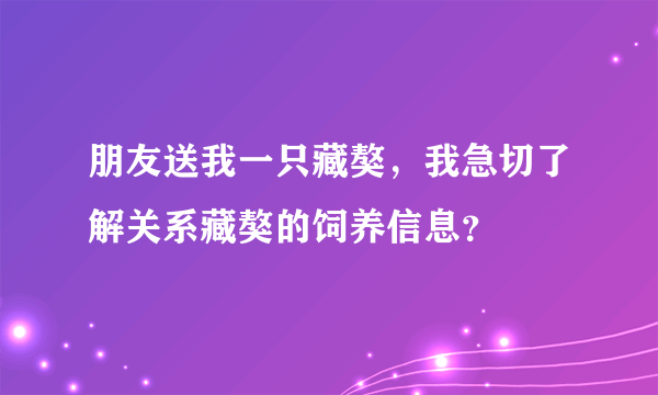 朋友送我一只藏獒，我急切了解关系藏獒的饲养信息？