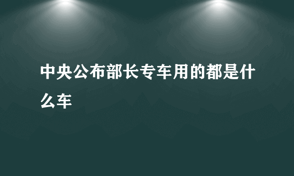 中央公布部长专车用的都是什么车