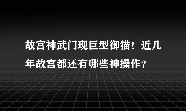 故宫神武门现巨型御猫！近几年故宫都还有哪些神操作？