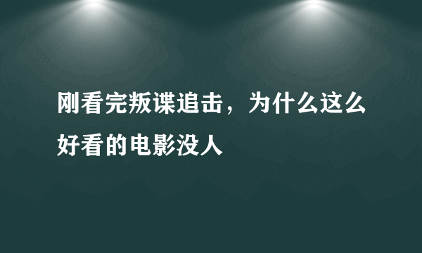 刚看完叛谍追击，为什么这么好看的电影没人