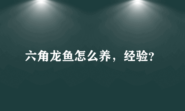 六角龙鱼怎么养，经验？