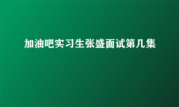 加油吧实习生张盛面试第几集