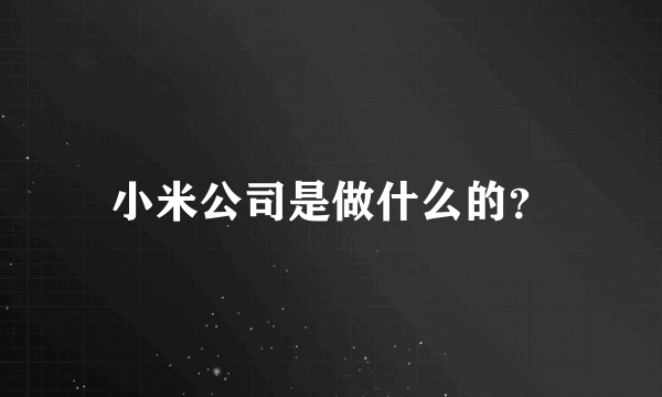 小米公司是做什么的？