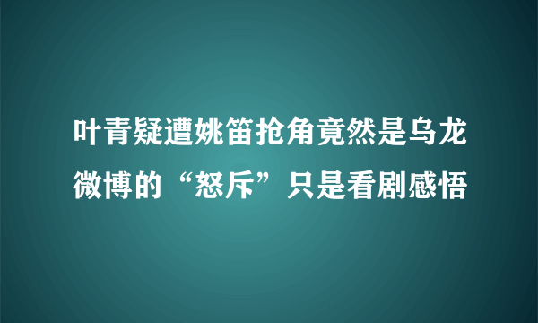 叶青疑遭姚笛抢角竟然是乌龙微博的“怒斥”只是看剧感悟