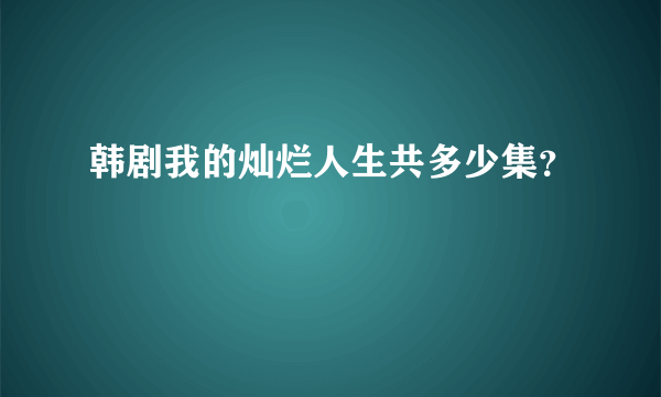 韩剧我的灿烂人生共多少集？