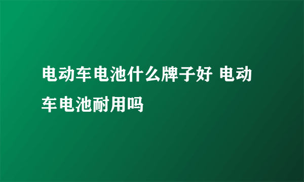 电动车电池什么牌子好 电动车电池耐用吗