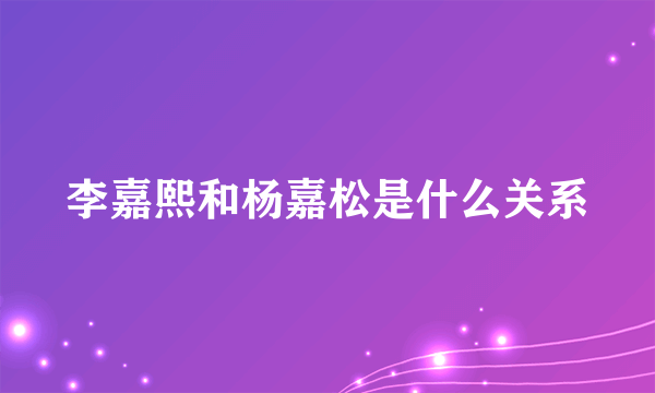 李嘉熙和杨嘉松是什么关系