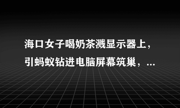 海口女子喝奶茶溅显示器上，引蚂蚁钻进电脑屏幕筑巢，它们是怎么进去的？