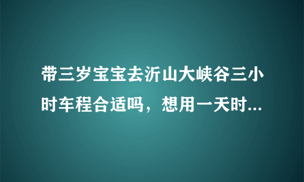 带三岁宝宝去沂山大峡谷三小时车程合适吗，想用一天时间，来回6小时。怕宝宝累病了