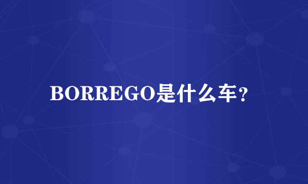 BORREGO是什么车？