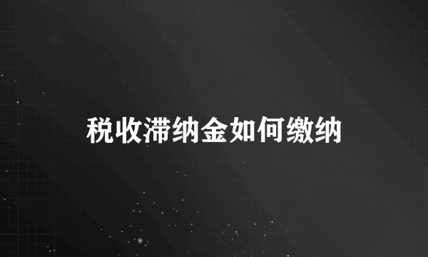 税收滞纳金如何缴纳