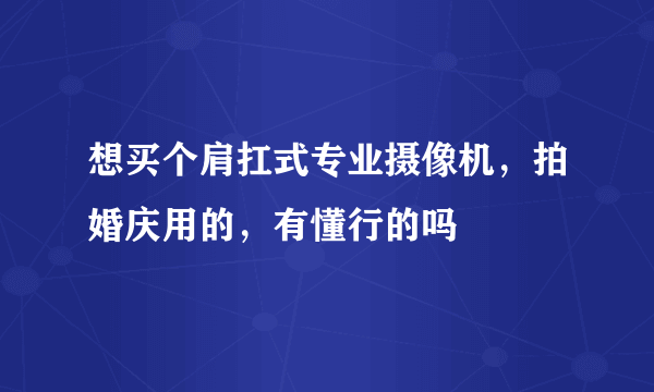 想买个肩扛式专业摄像机，拍婚庆用的，有懂行的吗