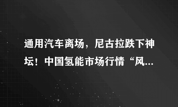 通用汽车离场，尼古拉跌下神坛！中国氢能市场行情“风”从哪来？