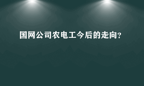 国网公司农电工今后的走向？