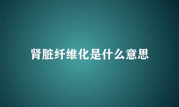 肾脏纤维化是什么意思