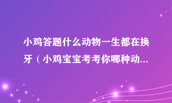 小鸡答题什么动物一生都在换牙（小鸡宝宝考考你哪种动物一生都在换牙只要牙齿受损立刻会有新的补上）