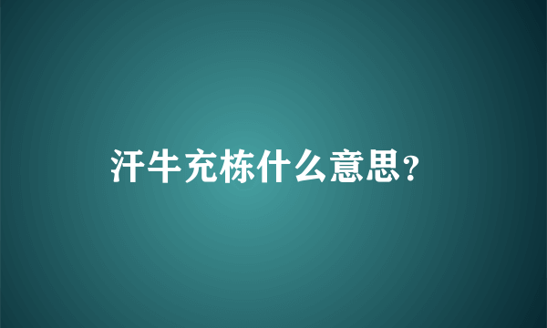 汗牛充栋什么意思？