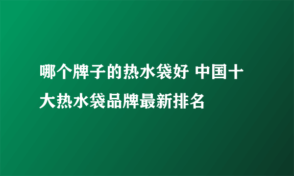 哪个牌子的热水袋好 中国十大热水袋品牌最新排名