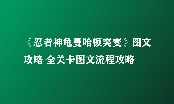 《忍者神龟曼哈顿突变》图文攻略 全关卡图文流程攻略