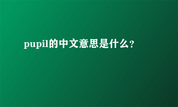 pupil的中文意思是什么？