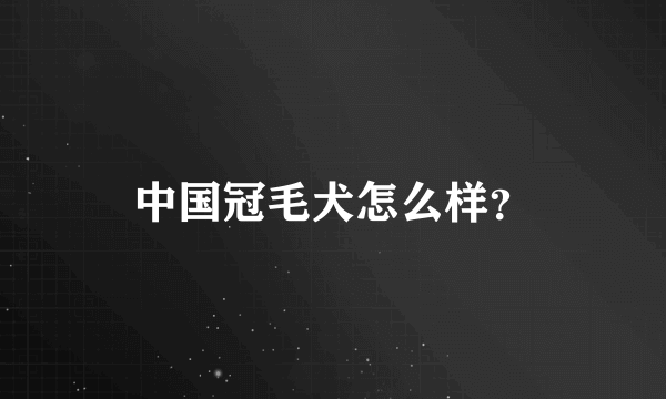 中国冠毛犬怎么样？