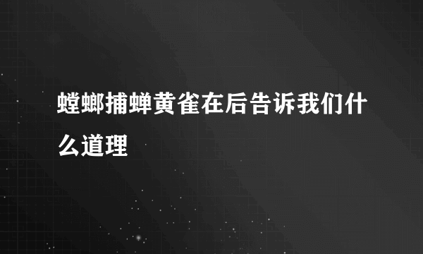 螳螂捕蝉黄雀在后告诉我们什么道理