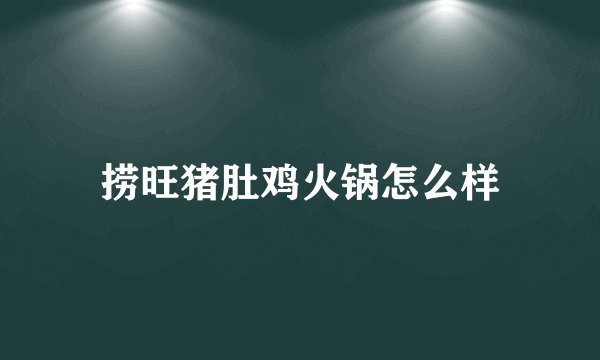 捞旺猪肚鸡火锅怎么样