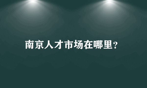 南京人才市场在哪里？