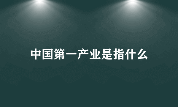 中国第一产业是指什么