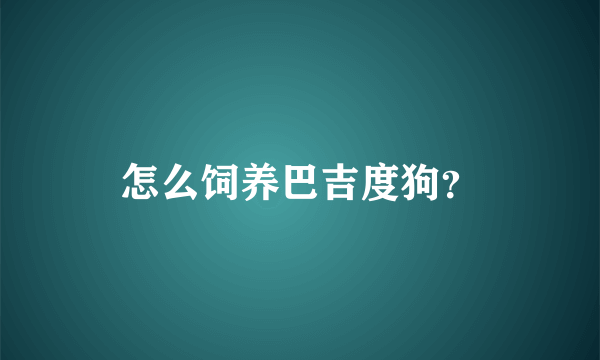 怎么饲养巴吉度狗？