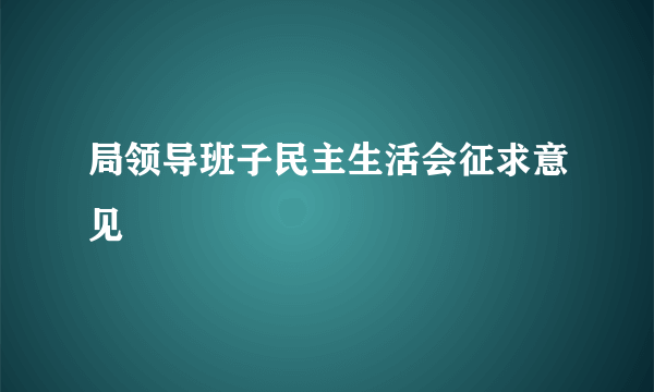 局领导班子民主生活会征求意见