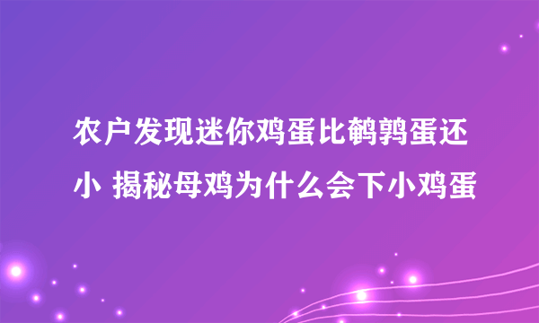 农户发现迷你鸡蛋比鹌鹑蛋还小 揭秘母鸡为什么会下小鸡蛋