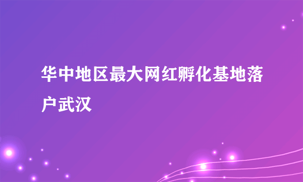 华中地区最大网红孵化基地落户武汉