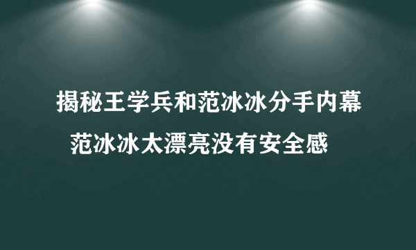 揭秘王学兵和范冰冰分手内幕  范冰冰太漂亮没有安全感