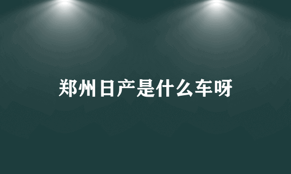 郑州日产是什么车呀