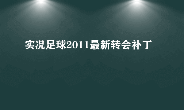 实况足球2011最新转会补丁