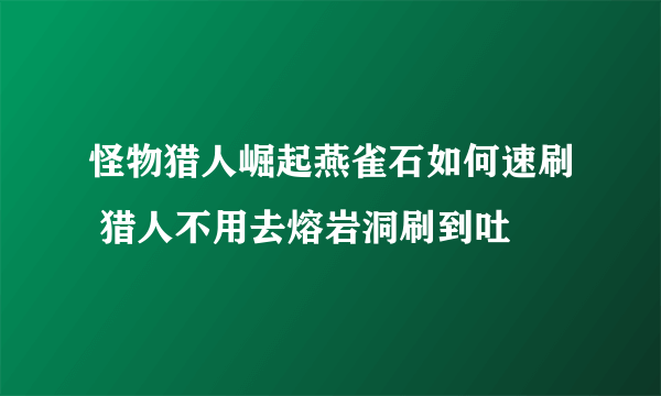 怪物猎人崛起燕雀石如何速刷 猎人不用去熔岩洞刷到吐