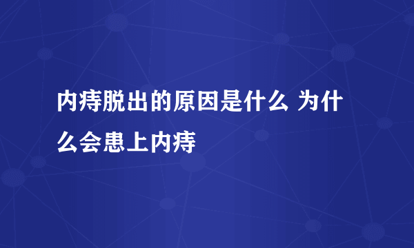 内痔脱出的原因是什么 为什么会患上内痔