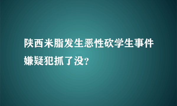 陕西米脂发生恶性砍学生事件嫌疑犯抓了没？