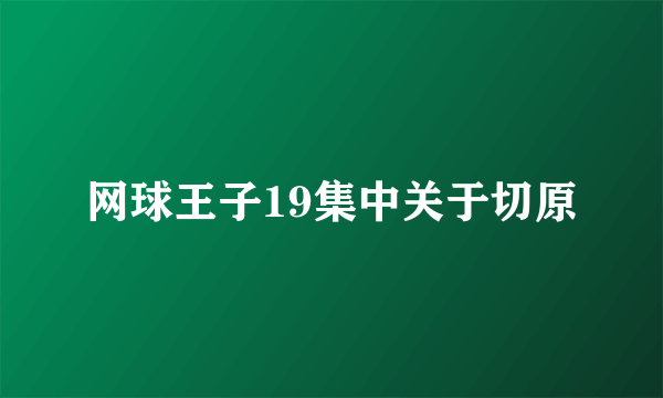 网球王子19集中关于切原