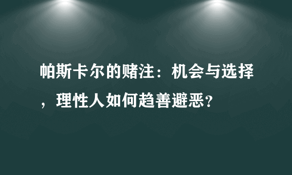 帕斯卡尔的赌注：机会与选择，理性人如何趋善避恶？