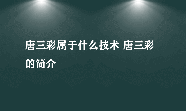 唐三彩属于什么技术 唐三彩的简介