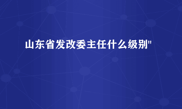 山东省发改委主任什么级别