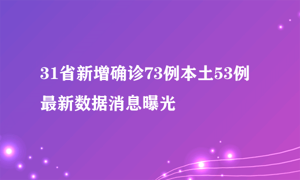 31省新增确诊73例本土53例 最新数据消息曝光