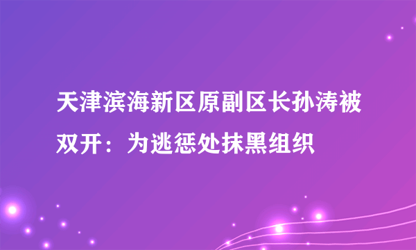 天津滨海新区原副区长孙涛被双开：为逃惩处抹黑组织