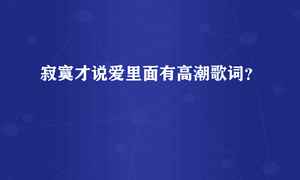 寂寞才说爱里面有高潮歌词？