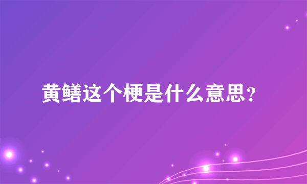 黄鳝这个梗是什么意思？