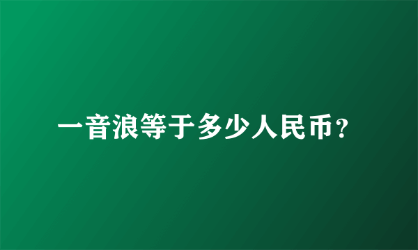 一音浪等于多少人民币？