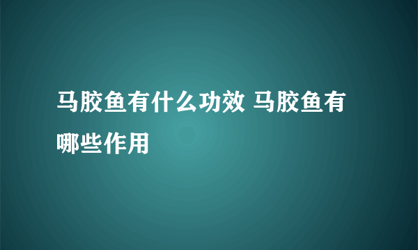 马胶鱼有什么功效 马胶鱼有哪些作用